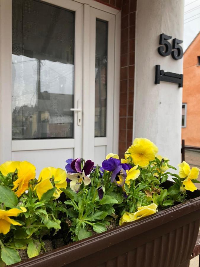 Krin Apartman Szabadka Kültér fotó